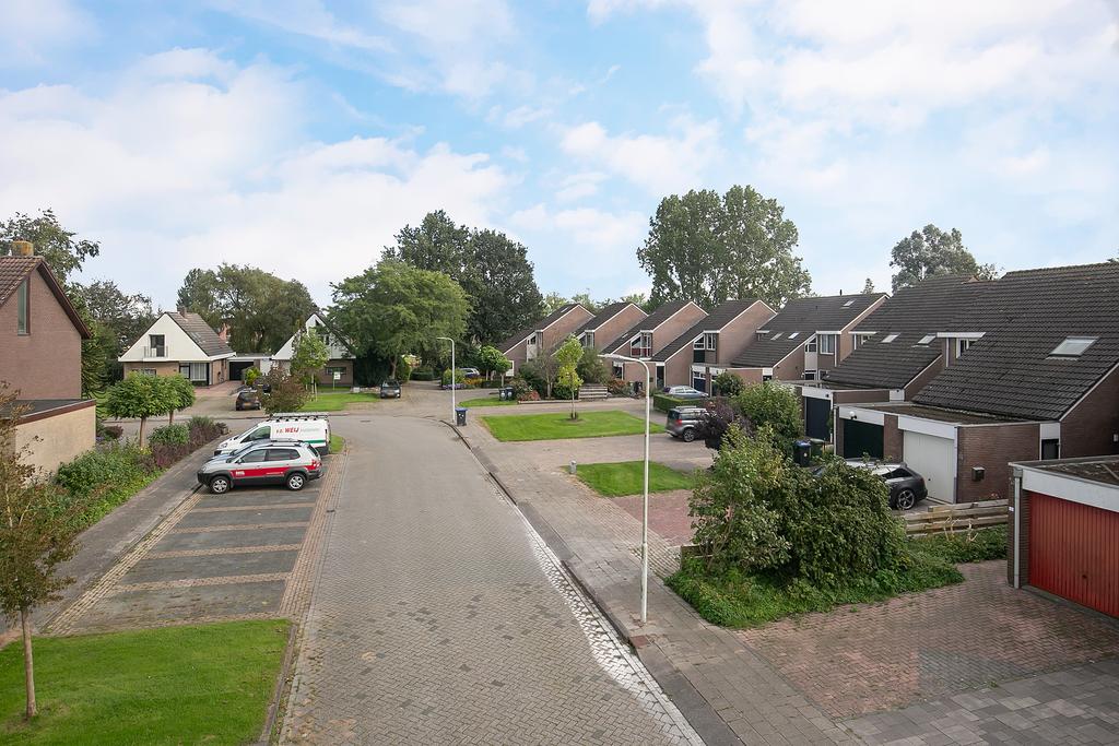 zeskanter-78--sneek-13814581