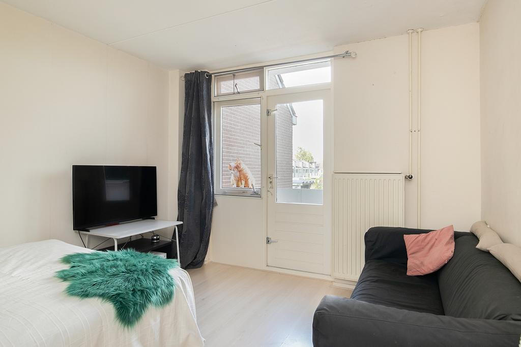 zeskanter-78--sneek-13814597