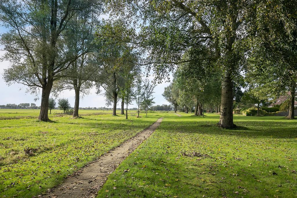 zeskanter-78--sneek-13814608