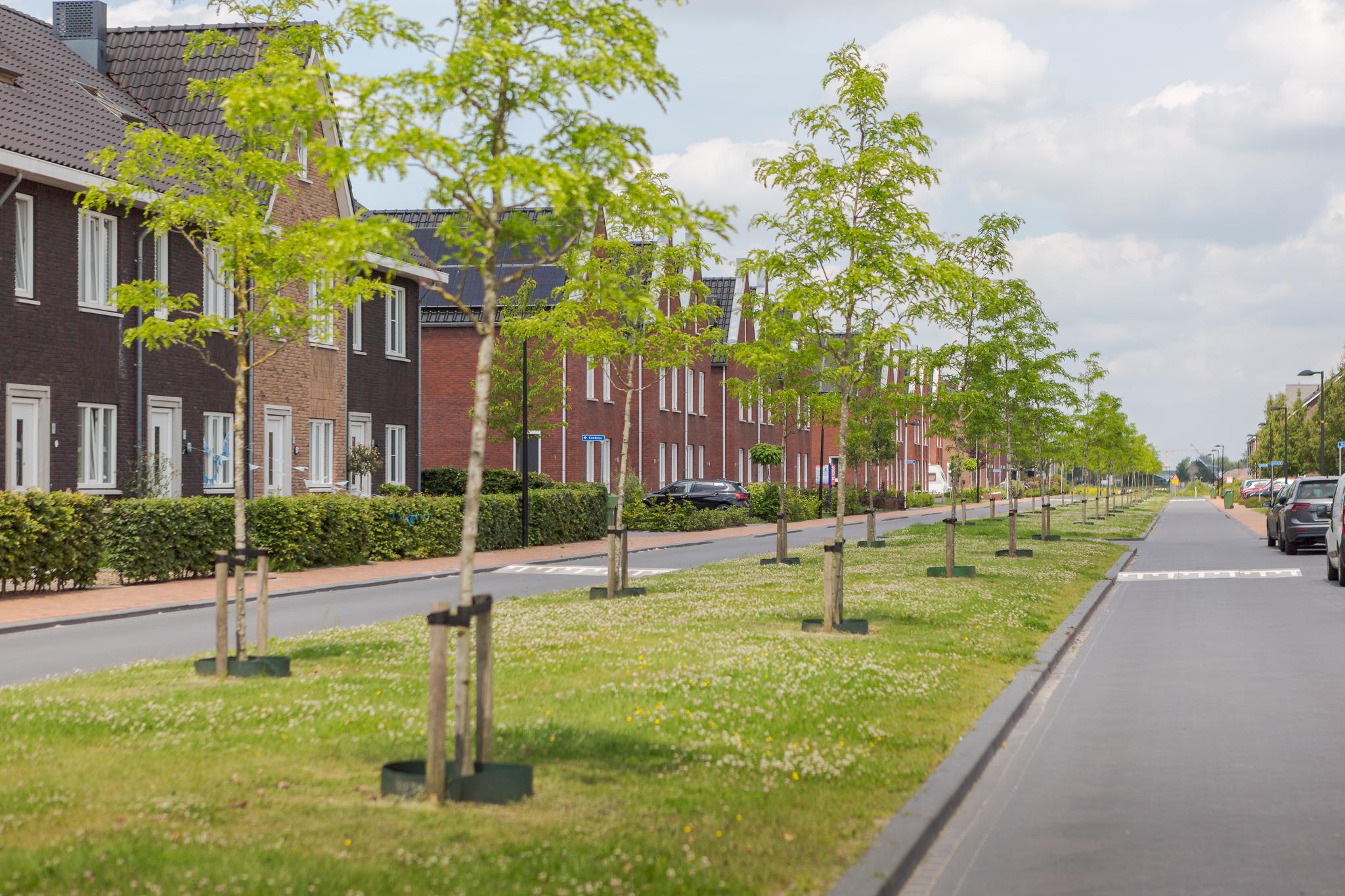 stadhouderlaan-71--heerenveen-13815371