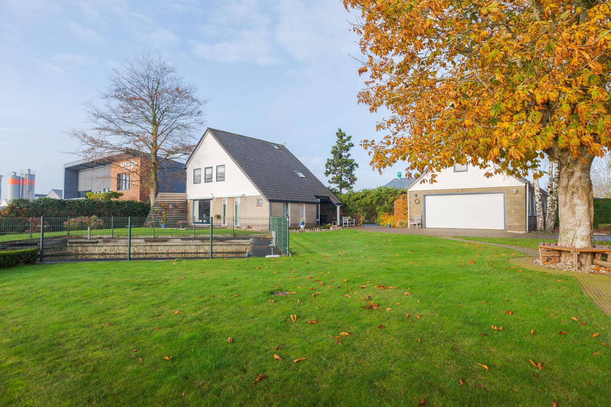 bregefinne-12-uitwellingerga-13815402